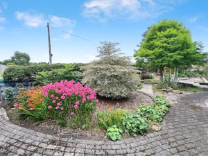 Front garden- click for photo gallery